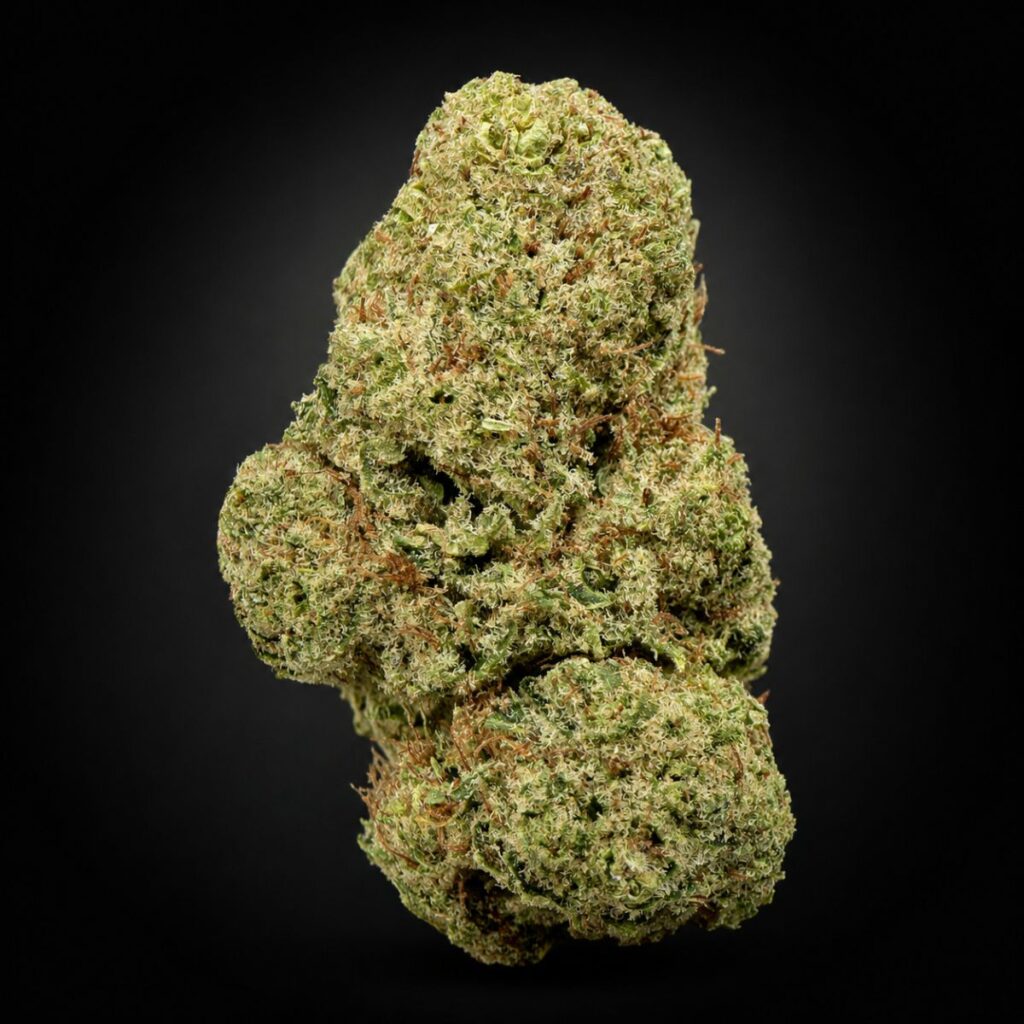 Orange Sherbert – 25 % THCA Premium Flower