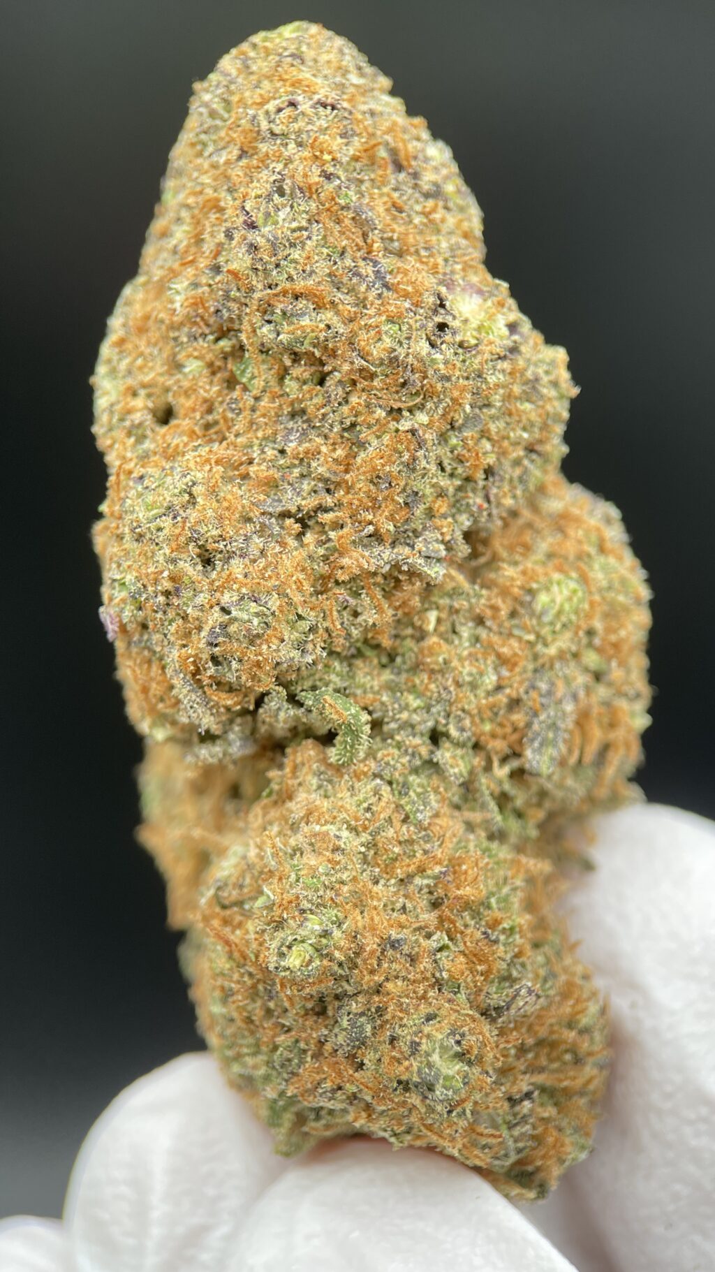 Purple Punch Reserve - 25 % THCA Premium Flower