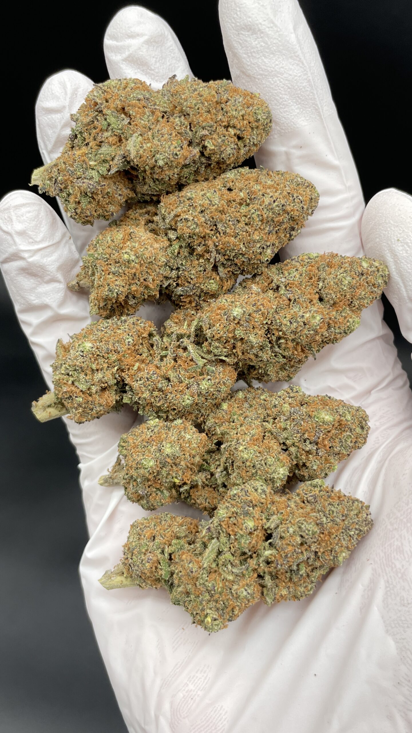 PURPLE_PUNCH_2