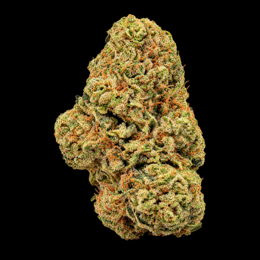 Orange Sherbert – 25% Premium Flower