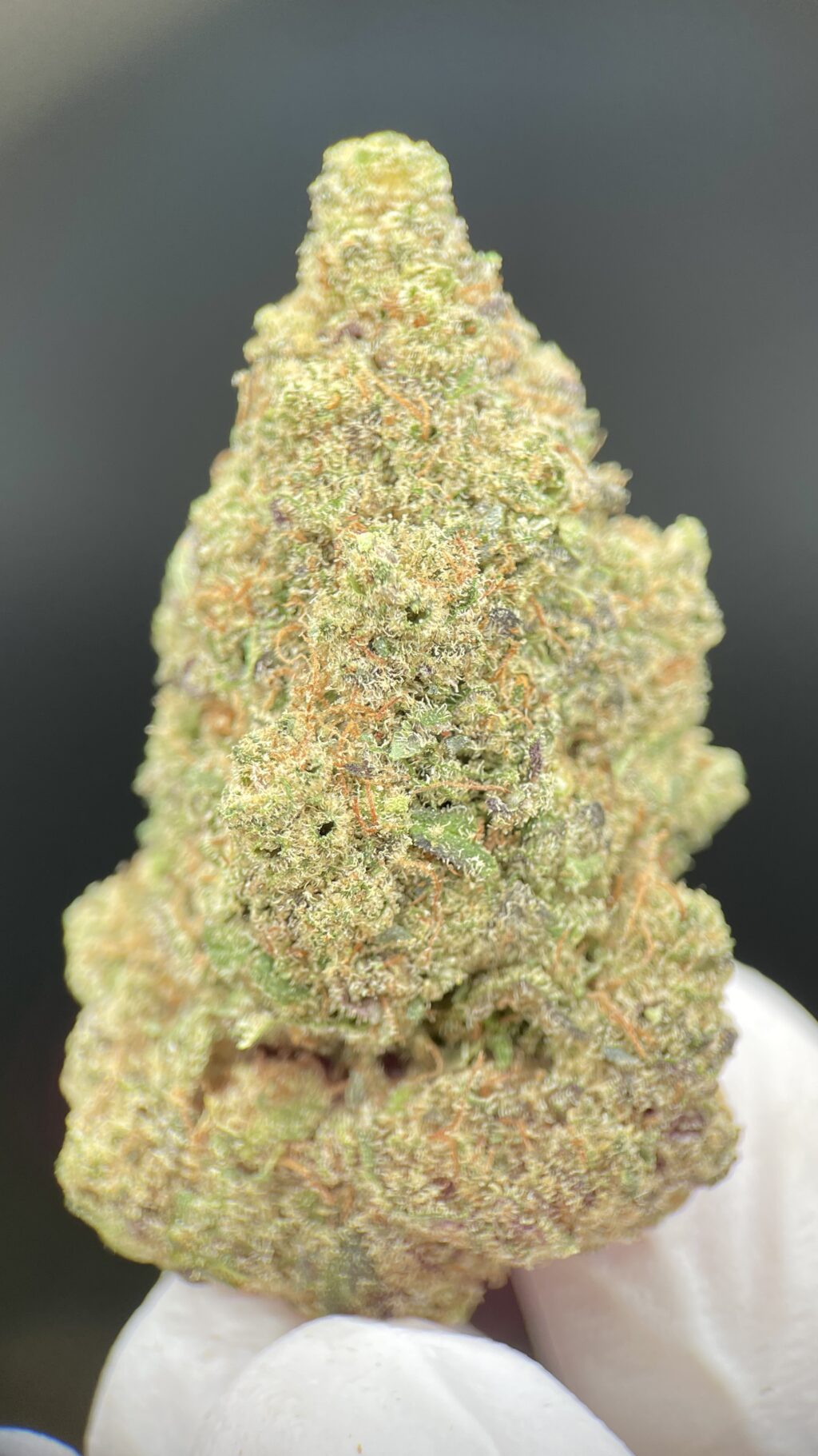 Gush Mintz Reserve – 27 % THCA Premium Flower