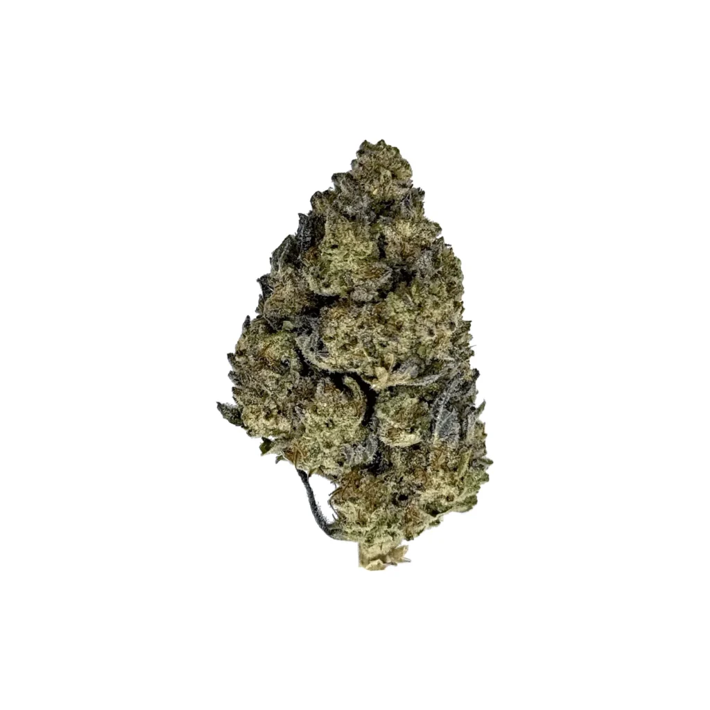 Garlic Butter – Premium 25% THCA Blomst