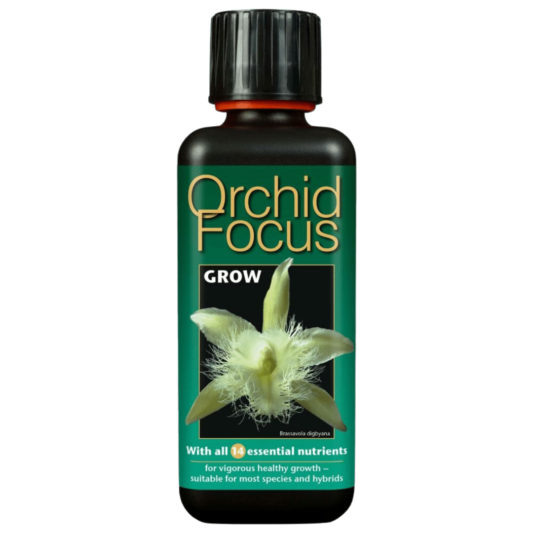 Growth-Technology-–-Orkide-Focus