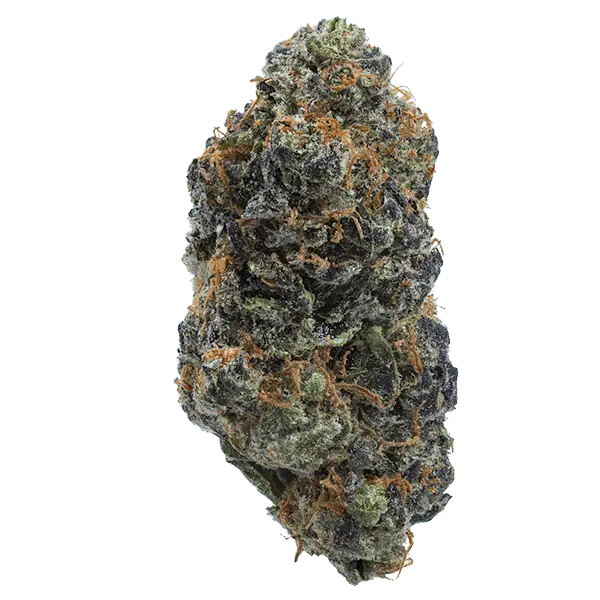Magic Marker – 22% CBD Premium Blomst