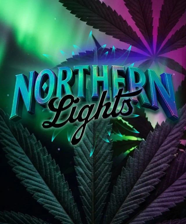 Northern Lights (Feminiseret) - Barney's Farm