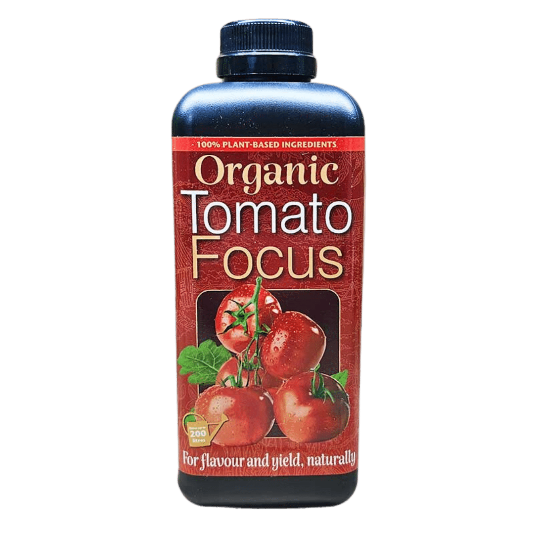 Organic-Tomato-Focus