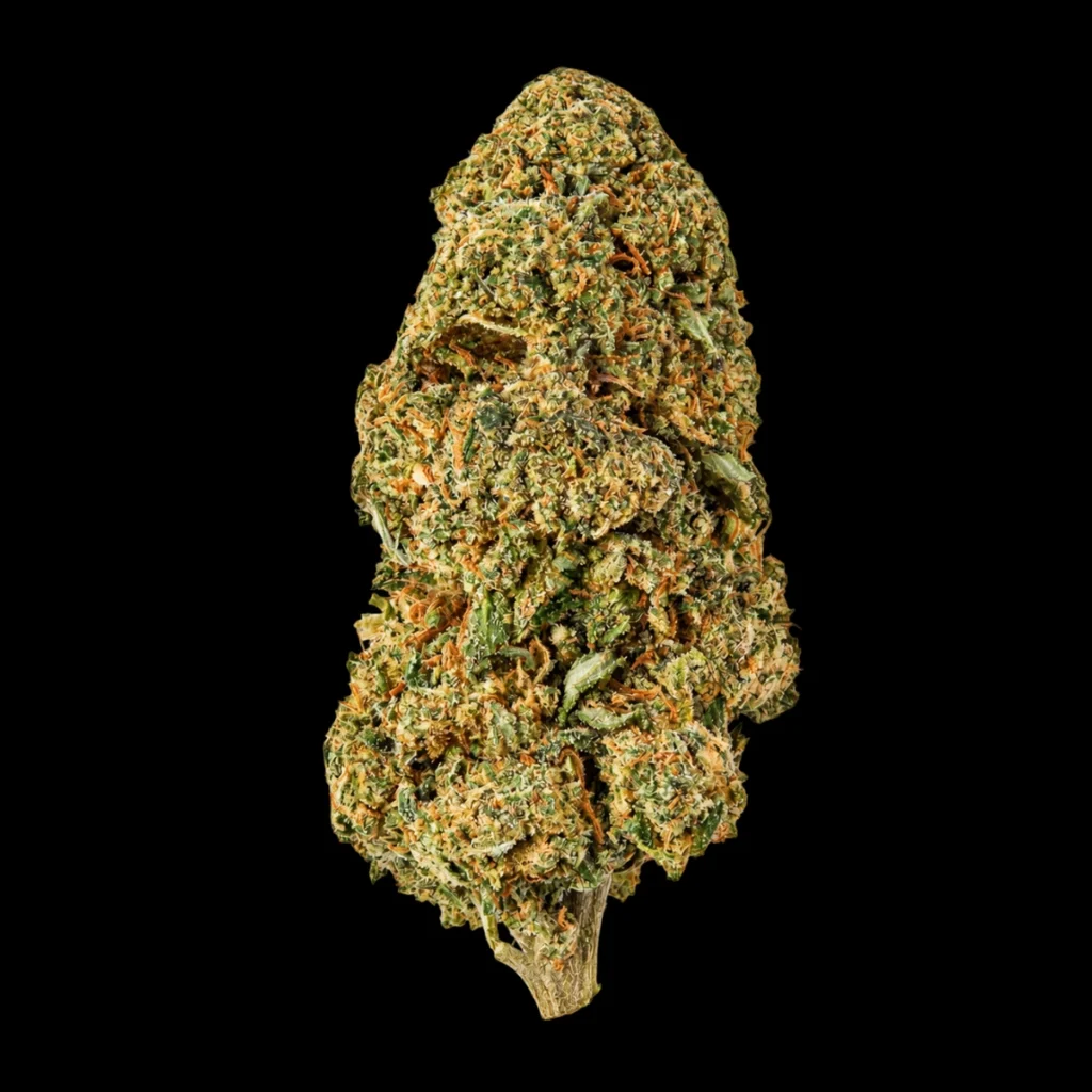 CBD Blomst – Watermelon Zkittlez
