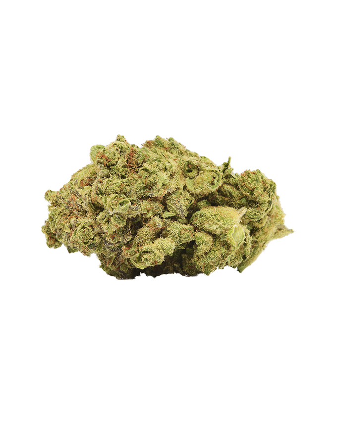 CBD Blomst - Northern Lights
