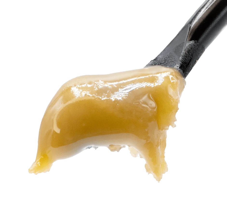 thca_live_rosin