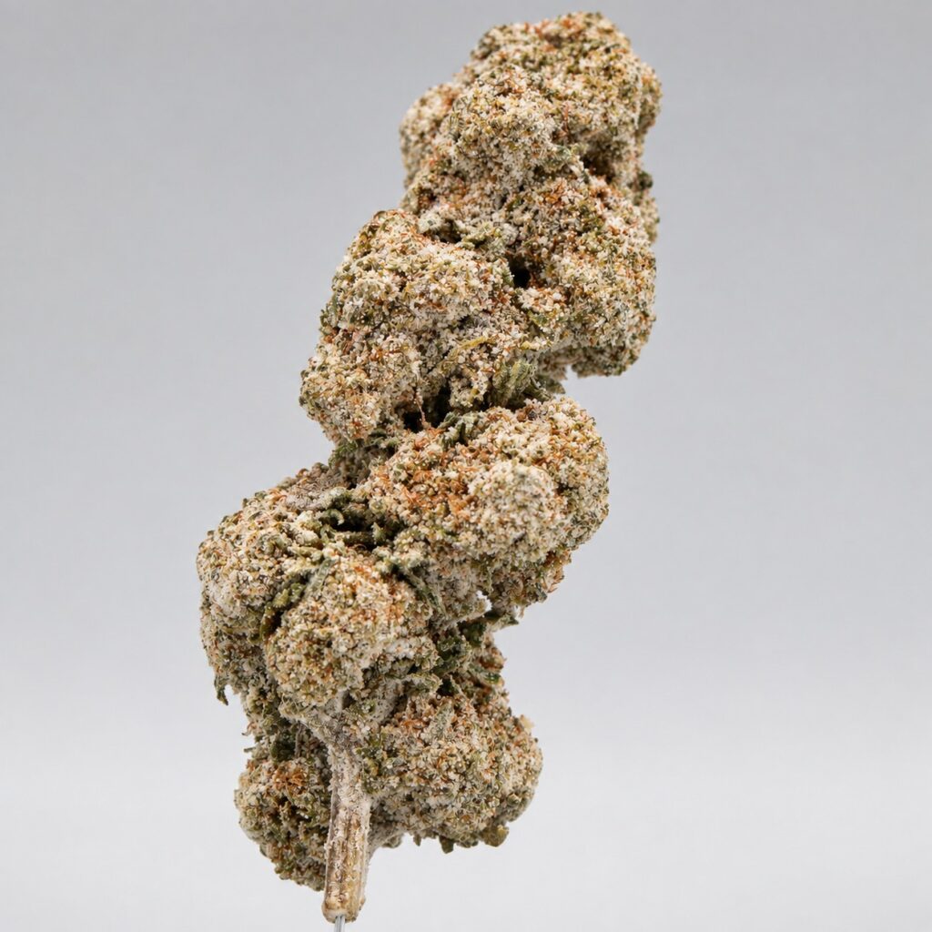 Amnesia Queen - 25% THCa Flower
