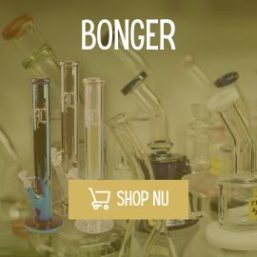 bonger-banner