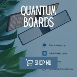 quantum-board-banner